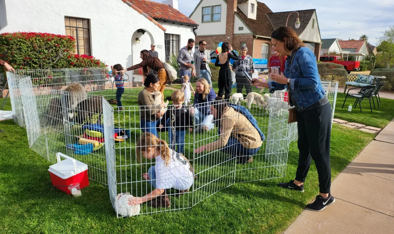 Mobile Petting Zoo St Louis