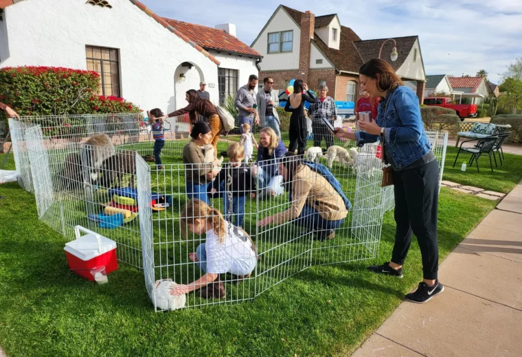 Mobile Petting Zoo St Louis