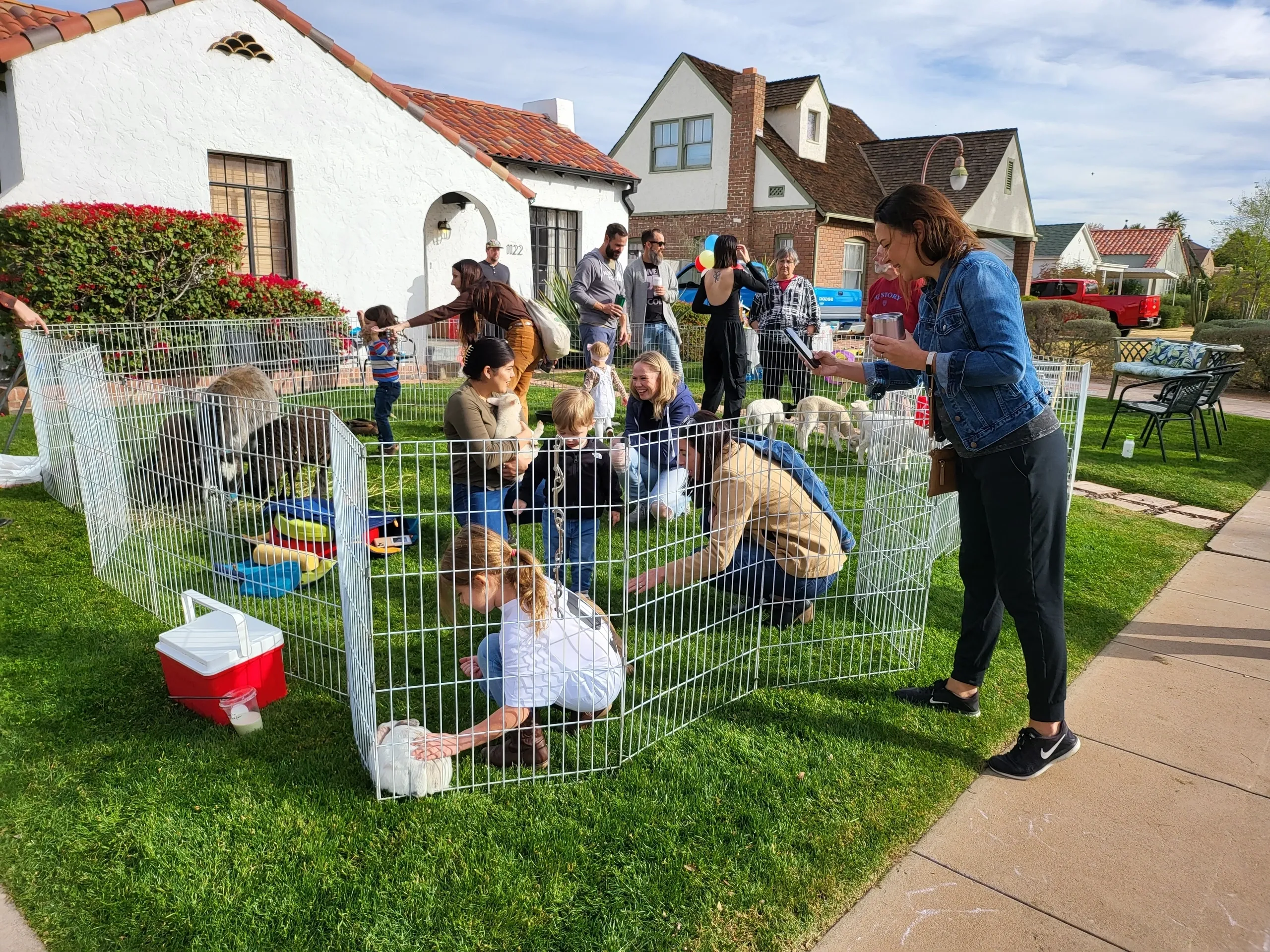Mobile Petting Zoo St Louis